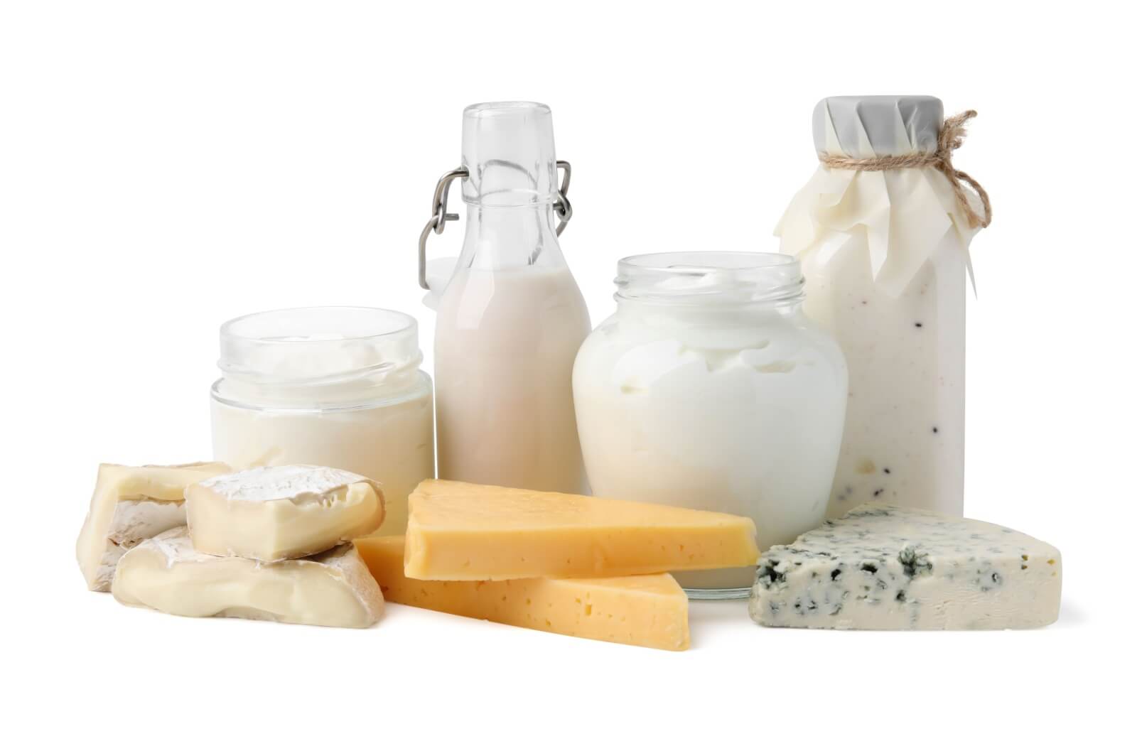 Various dairy products are displayed, like milk, yogurt, sour cream, and cheeses both hard and soft.